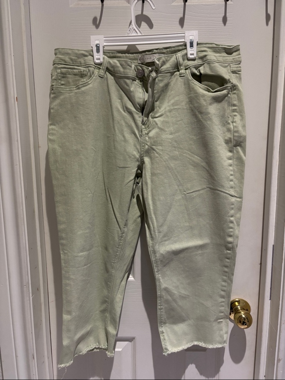 Ankle-Length Cropped Jeans in Soft Sage Green